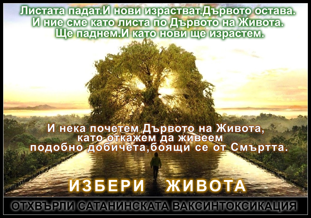 Дървото на Живота